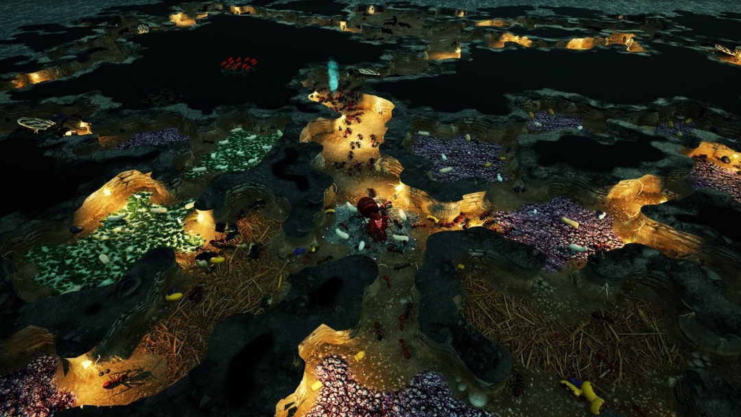 《地下蚁国》评测：真·地下城守护者