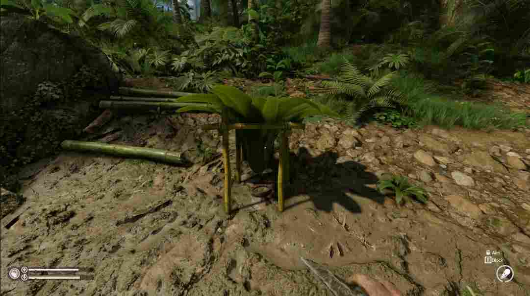 《绿色地狱》评测：恶心、残酷而又痛苦地求生