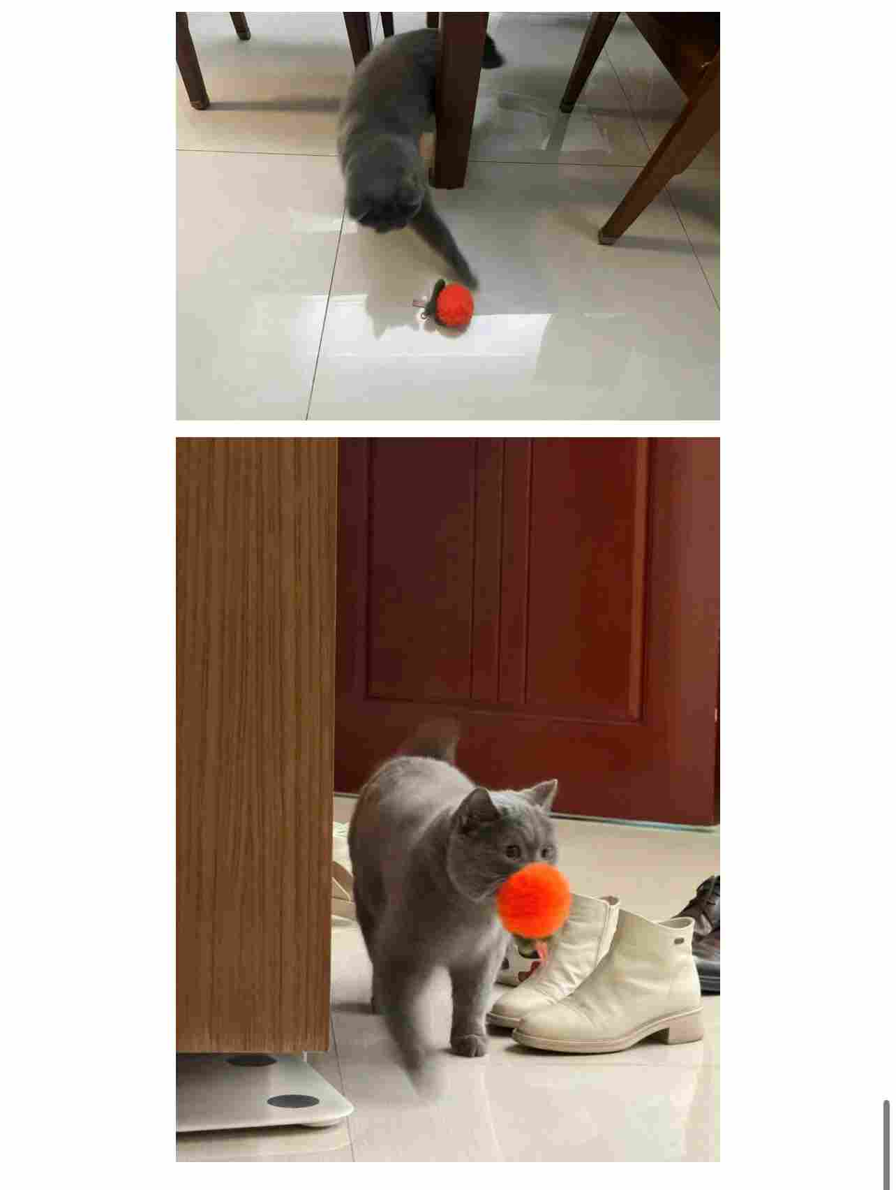 剑与远征：启程【远征八宝袋】鲨鱼吃人机制大揭秘(图12)