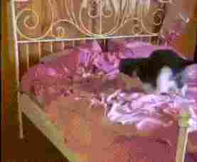 高手打球主打一个擦边 动图 是选一根最短的牙签吗~