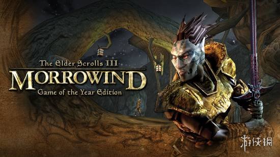 拉瑞安工作室发行总监认为《上古卷轴3》重制版有搞头