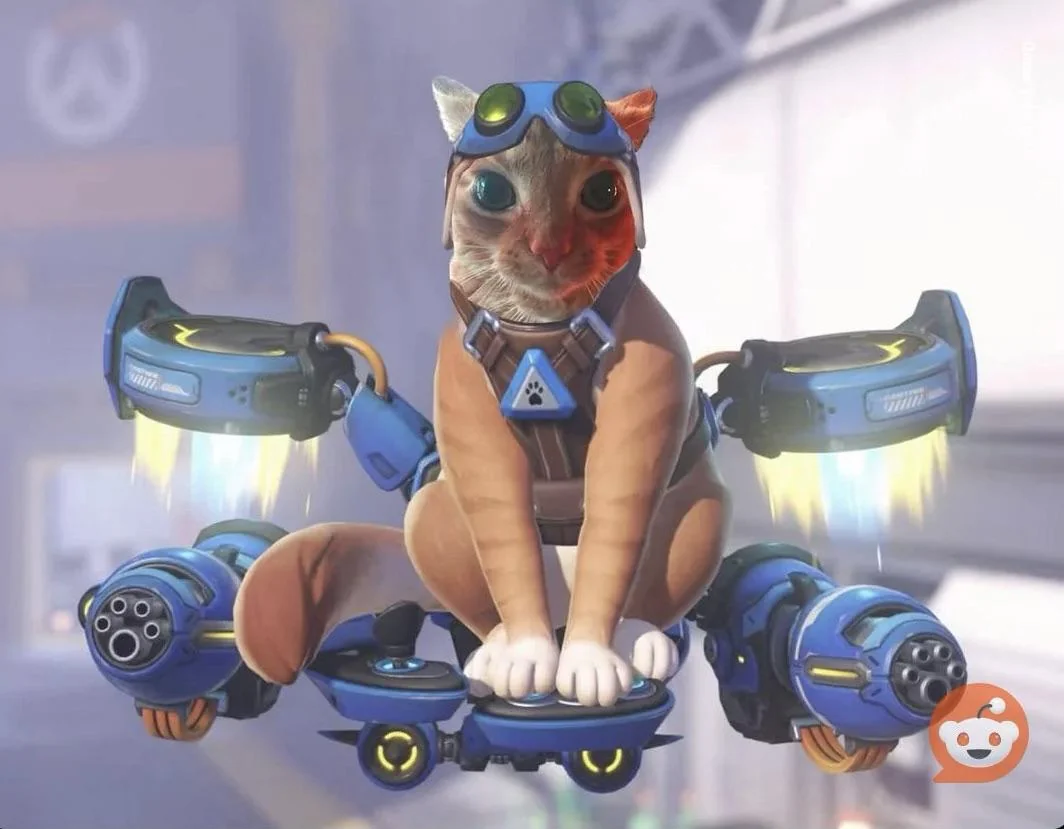 《守望先锋》新英雄太美引不满 玩家将金驭改成老奶奶