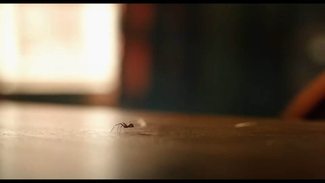 凯奇主演《暗影蜘蛛侠》预告片公开 5月25日上线