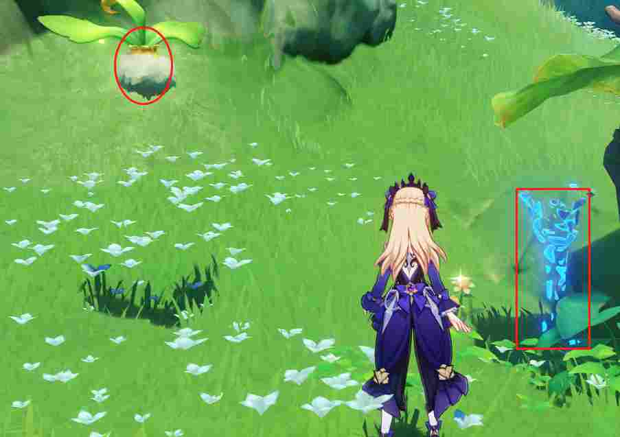 原神须弥宝箱全收集——【67-79篇】(图19)