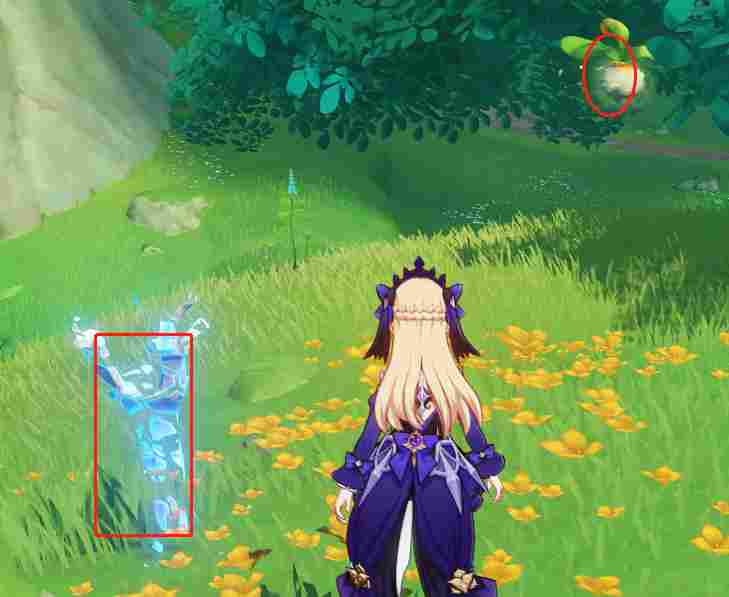 原神须弥宝箱全收集——【67-79篇】(图22)